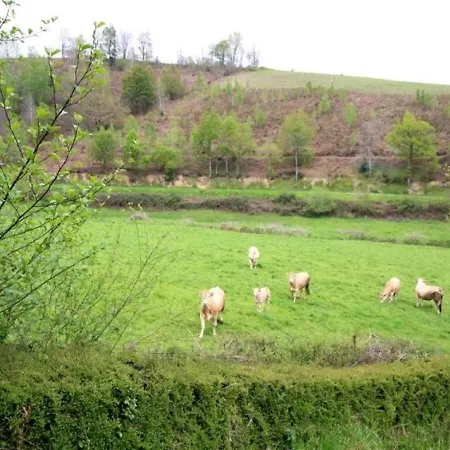 House Mirassou De Haut * Lanne-en-Baretous